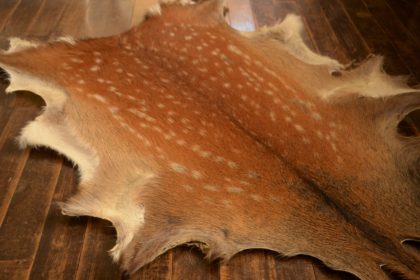 Tanning deer skin